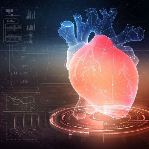 Kardiológiai vizsgálat szív-ultrahanggal, a&nbsp;MyDoctor Egészségközpont kardiológiai diagnosztika, és rehabilitáció specialistáival&nbsp;